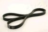 ASHIKA 112-6PK1710 V-Ribbed Belts